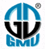 GMV