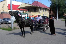 Такси на праздник Такси на праздник