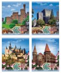            «History of castles»