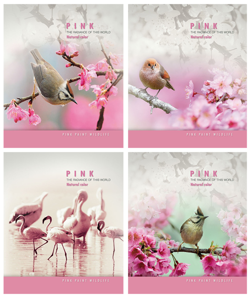   «»     «Pink wildlife»