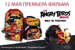    « » -  «Angry Birds  »