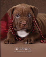   5-11  ″Chocolate puppy″:  