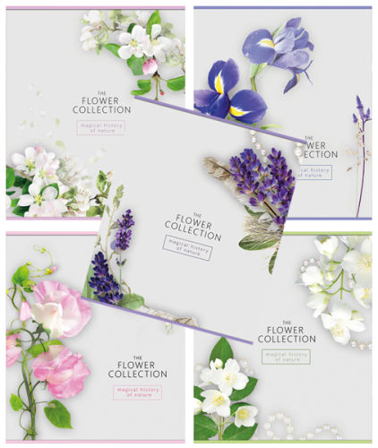   «»       «Flowers collection»