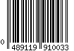 0489119910031