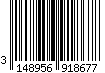 3148956918677