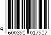 4600395017957