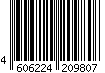 4606224209807