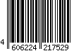 4606224217529