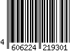 4606224219301