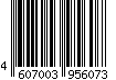 4607003956073