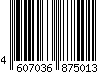 4607036875013