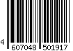 4607048501917