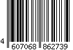 4607068862739