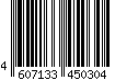 4607133450304