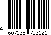 4607138713121