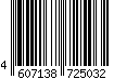 4607138725032