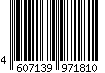 4607139971810