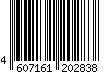 4607161202838