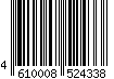 4610008524338