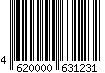 4620000631231