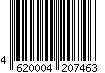 4620004207463