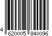 4620005840096