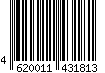 4620011431813