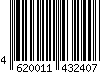 4620011432407