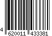 4620011433381