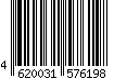 4620031576198