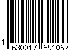 4630017691067