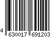 4630017691203