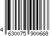 4630075900668