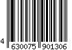 4630075901306