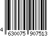 4630075907513