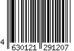 4630121291207 4630121291207