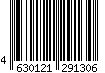 4630121291306