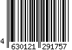4630121291757