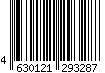 4630121293287