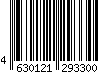 4630121293300