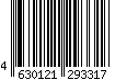 4630121293317