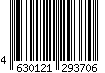 4630121293706