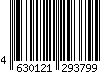 4630121293799