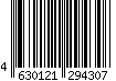 4630121294307