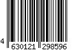 4630121298596