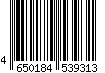 4650184539313