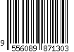 9556089871303