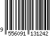 9556091131242
