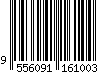 9556091161003