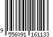 9556091161133